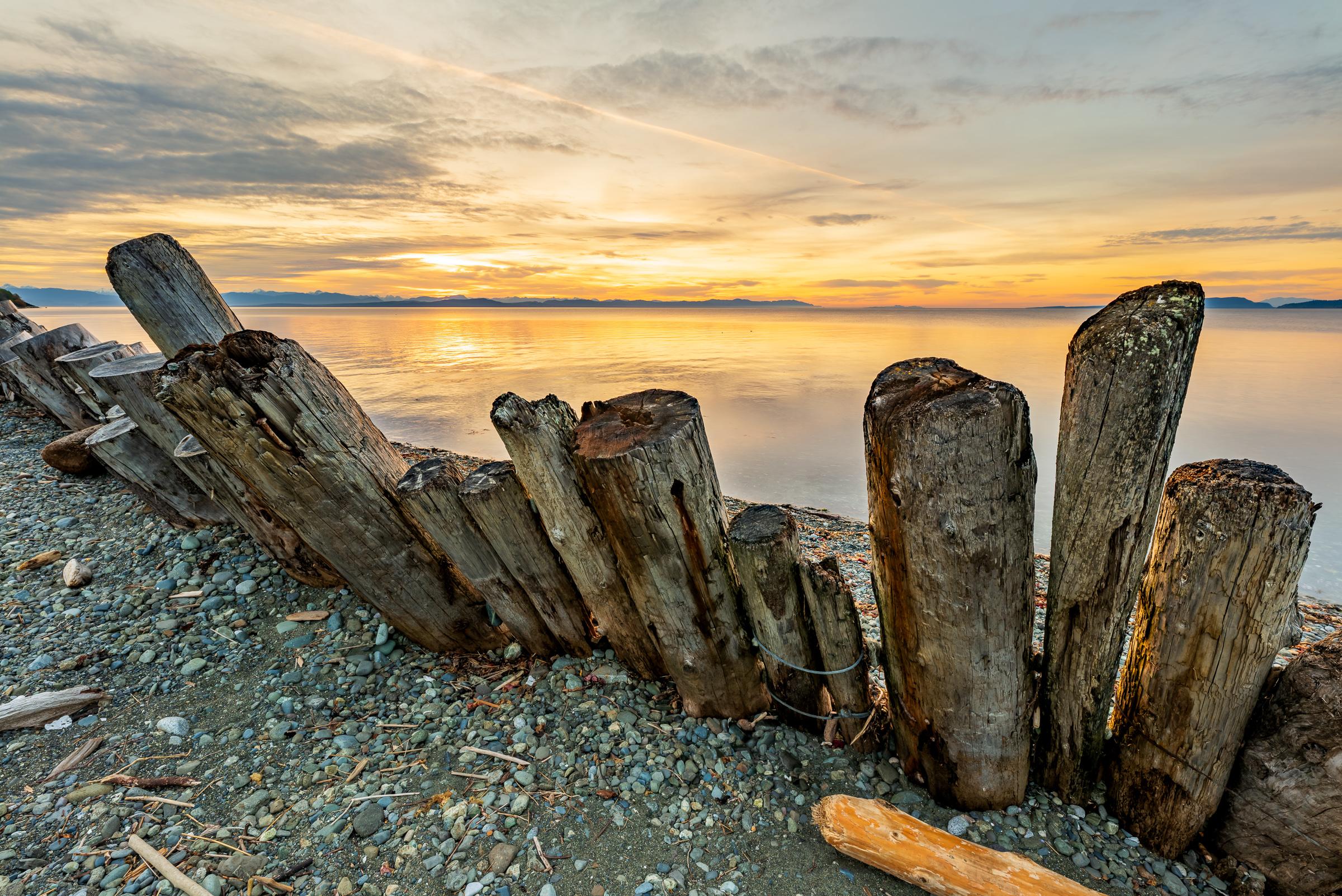 Goose Spit wall art showing the weathered erosion pilings at first light over the Strait, Comox Valley, BC, by James Wheeler.