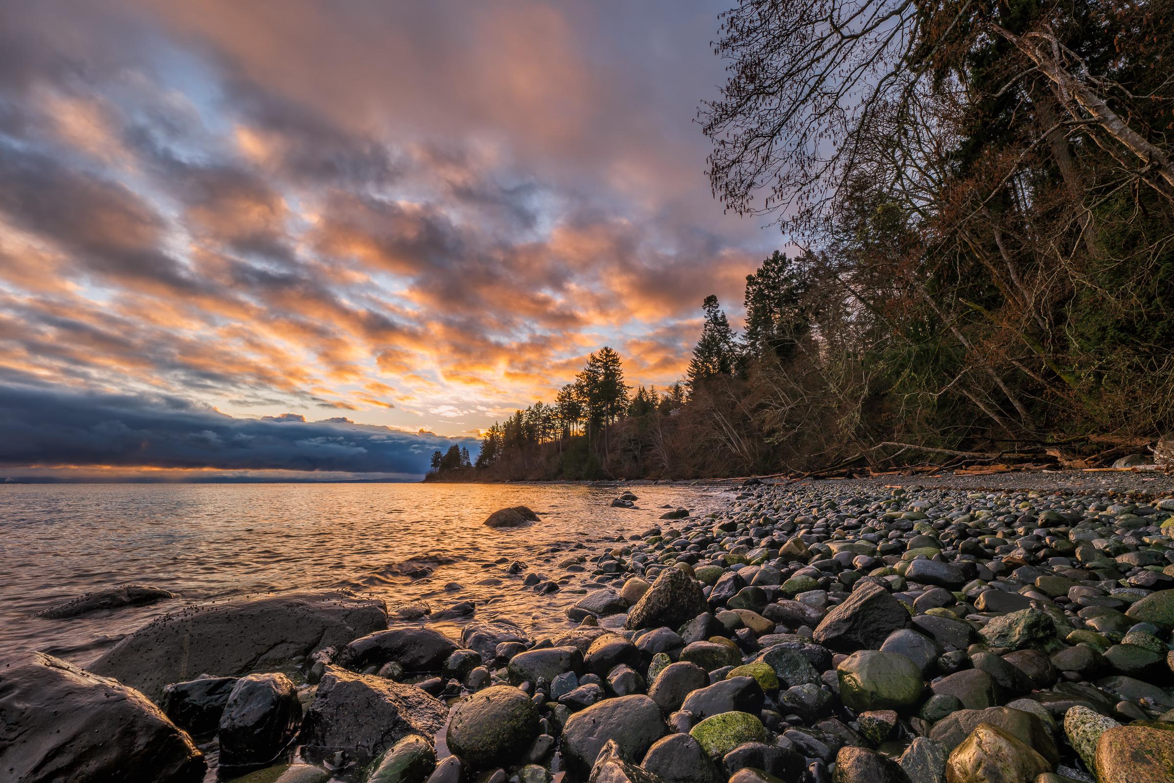 Seal Bay Nature Park wall art showing algae stones at low tide under a spring sunrise, Comox Valley, BC, by James Wheeler.